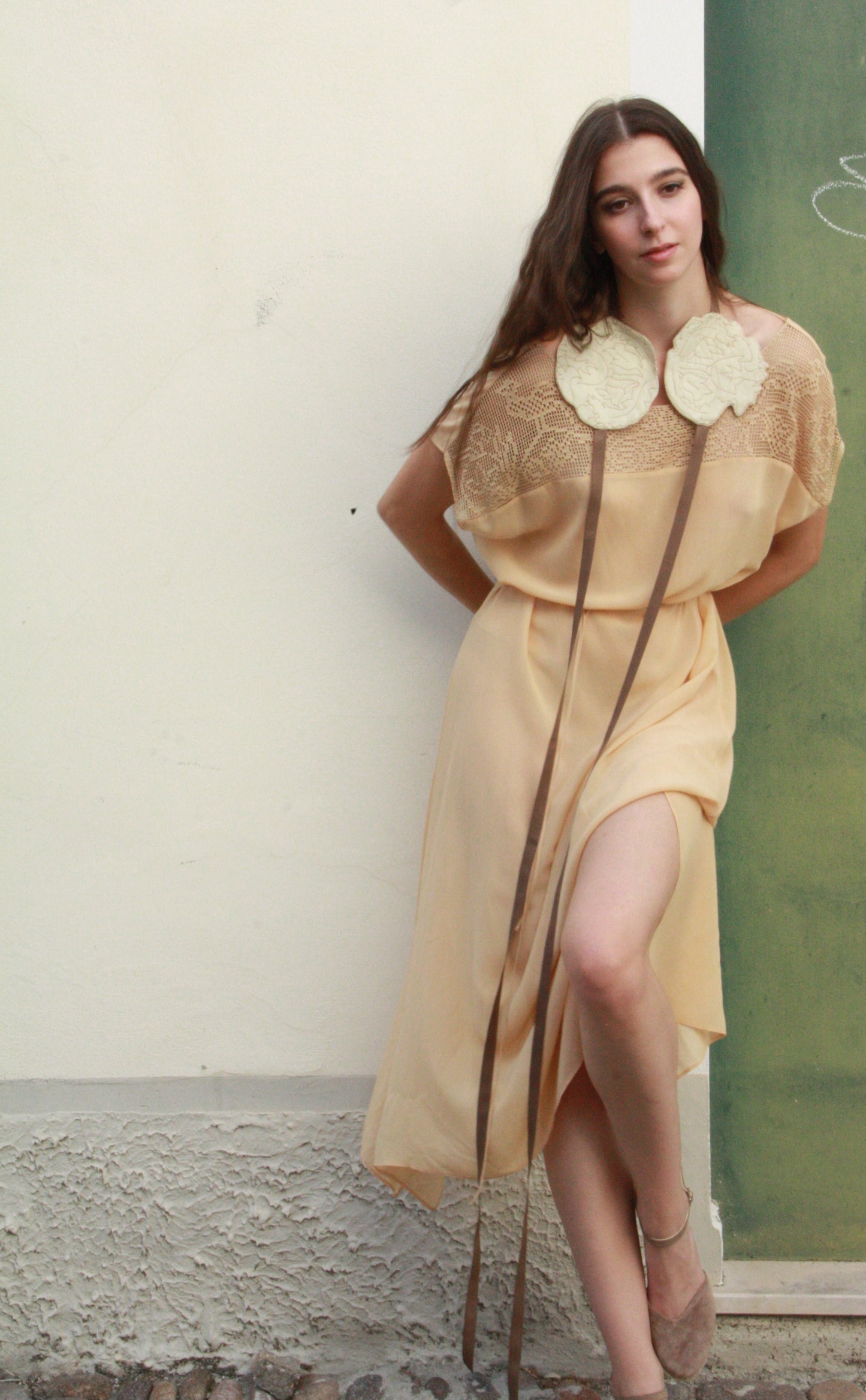 Long Silk Dress with “Venetian Birds” Ornament