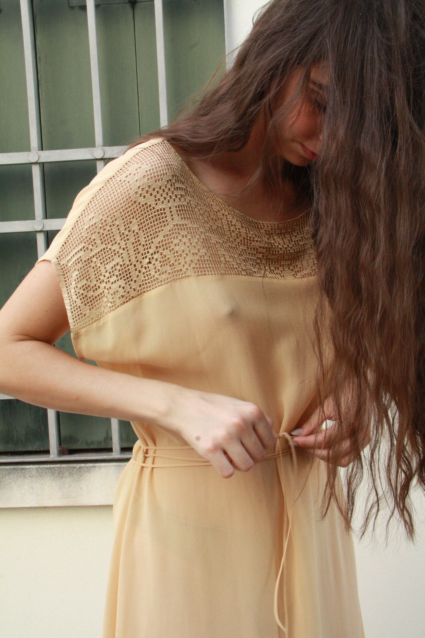 Long Silk Dress with “Venetian Birds” Ornament